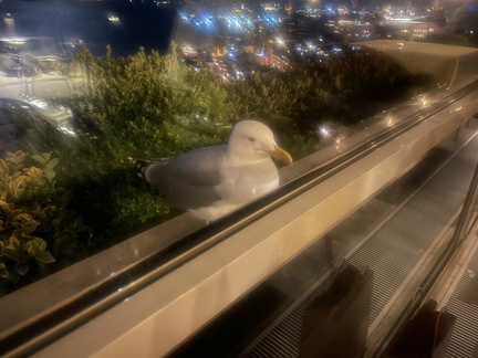 Istambul039