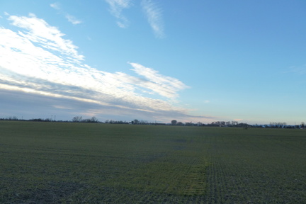 2011-02-12-17.18.36 Neo