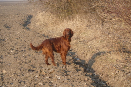 2011-03-04-17.31.52 Neo