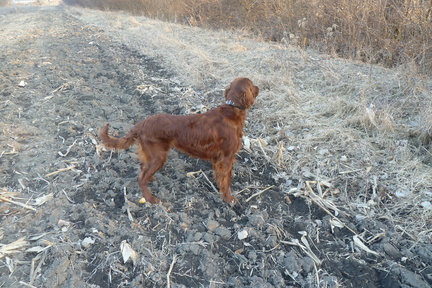 2011-03-04-17.38.29 Neo