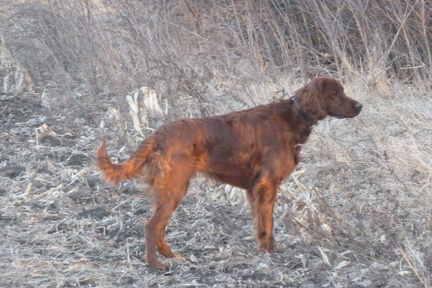 2011-03-04-17.40.07 Neo