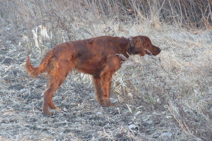 2011-03-04-17.40.15 Neo