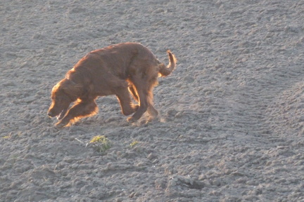 2011-03-04-17.44.36 Neo