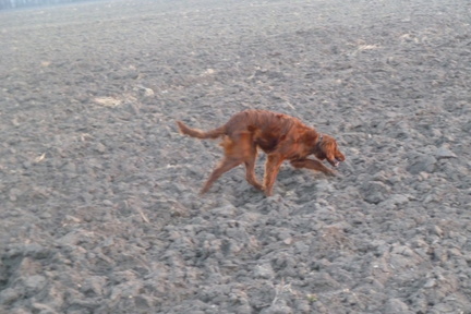 2011-03-04-18.19.17 Neo
