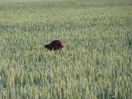 2011-05-22-06.34.47 Neo-